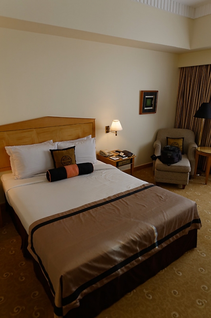 Ho Chi Minh ville-116